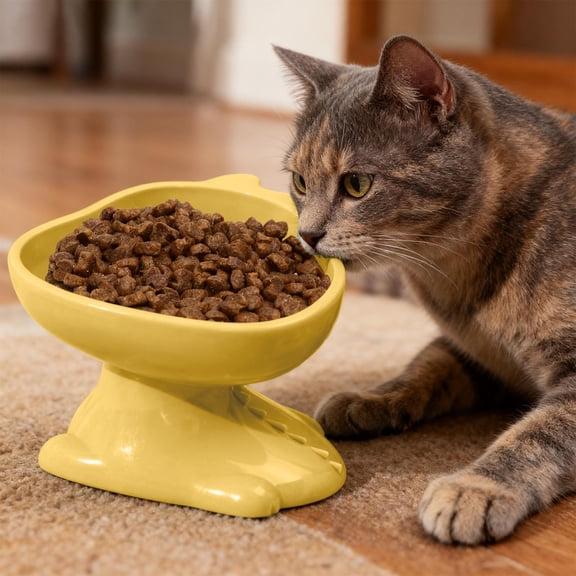 Raised Pet Bowl with Non-Slip Base, Slanted Design for Comfortable Eating, Cat and Dog Food Water Dish, 12 oz