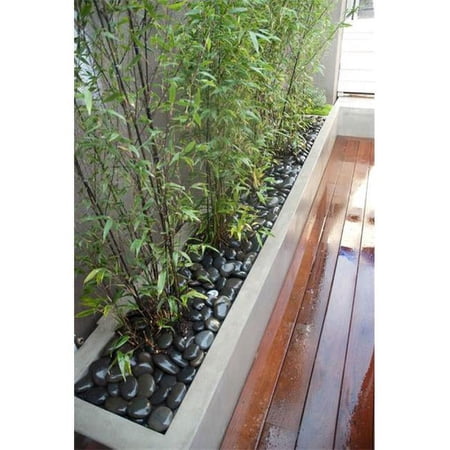 Raised Rectangular Planter