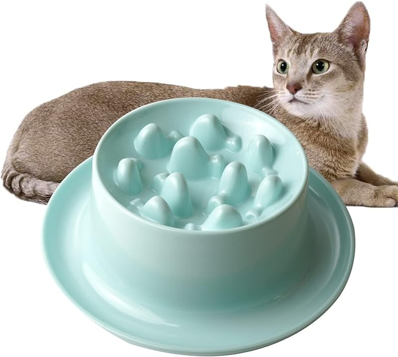 Raised Slow Feeder Cat Bowl, Fish Pool Design Elevated Slow Feeder Dog