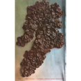 thumbnail image 1 of Raisin Industry California Us Poster Print By Mary Evans Grenville Collins Postcard Collection, 1 of 3