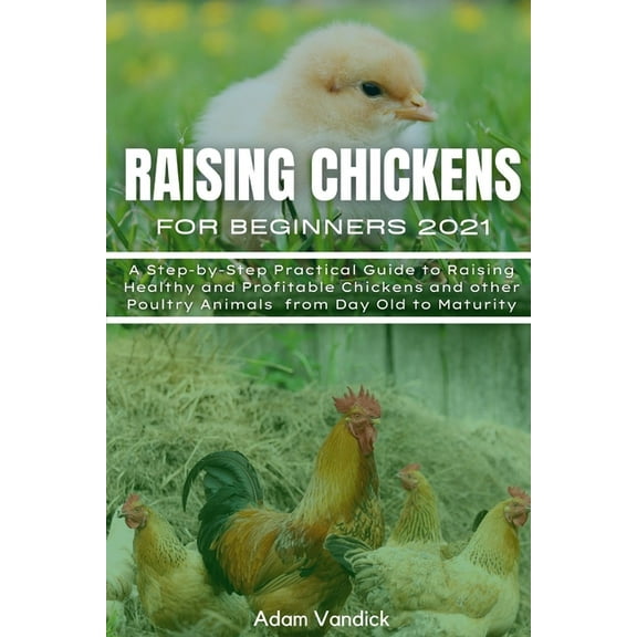 Raising Chickens for Beginners 2021 : A Step-by-Step Practical Guide to Raising Healthy and Profitable Chickens and other Poultry Animals from Day Old to Maturity (Paperback)