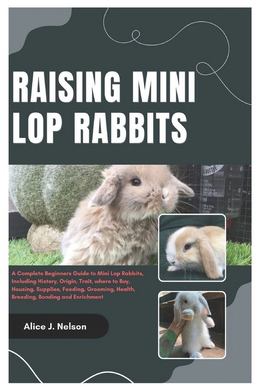 Raising Mini Lop Rabbits: A Complete Beginners Guide to Mini Lop ...