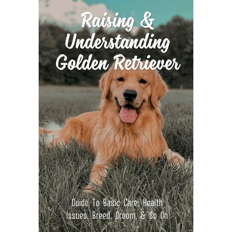 Grooming a golden retriever at home deals