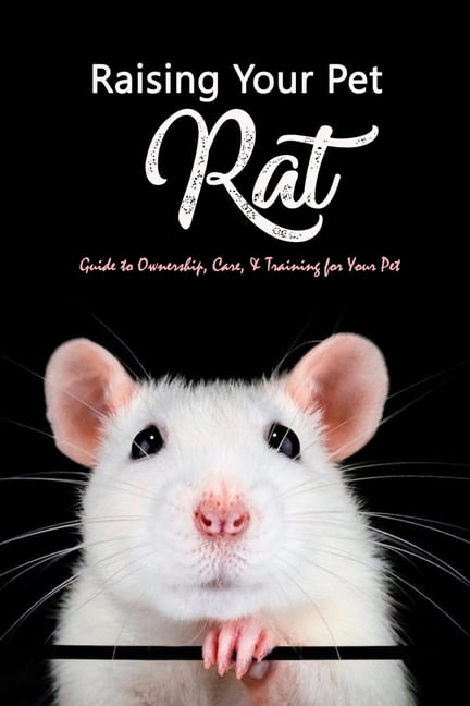 Training Pet Rats Raising Your Pet Rat: Guide to Ownership, Care, & Training for Your Pet ...
