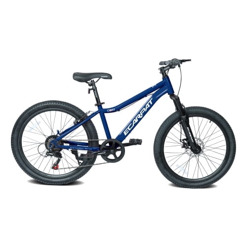 RAISTYW 24 inch Mountain Bike Fits Riders 51" - 59", 7-Speed Mountain Bicycles for Men with Daul Disc Brake, Front Suspension