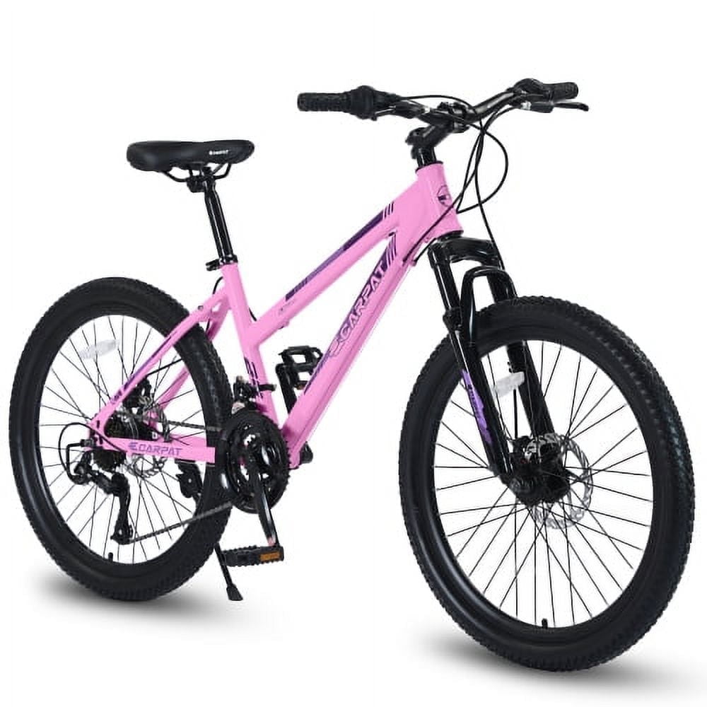 Raistyw 26 inch Mountain Bike for Women, Shimano 21 Speeds with Dual Disc Brakes and 100mm Front Suspension, Pink