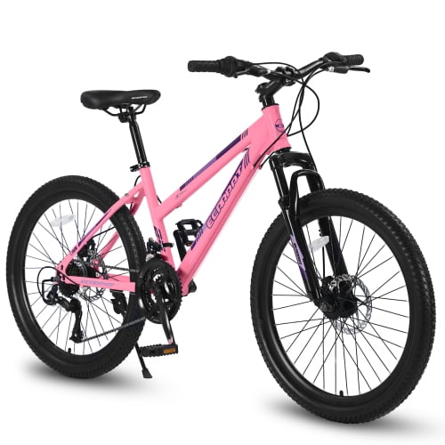 RAISTYW 26 inch Mountain Bike for Womens, 21 Speed with High-Carbon Steel Frame Bike for Adults, Dual Disc Brake, Pink