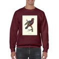 thumbnail image 1 of Raja Lory Sweatshirt Men -Sydenham Edwards Designs, Male Small, 1 of 4