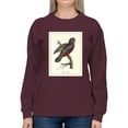 thumbnail image 1 of Raja Lory Sweatshirt Women -Sydenham Edwards Designs, Female XX-Large, 1 of 4