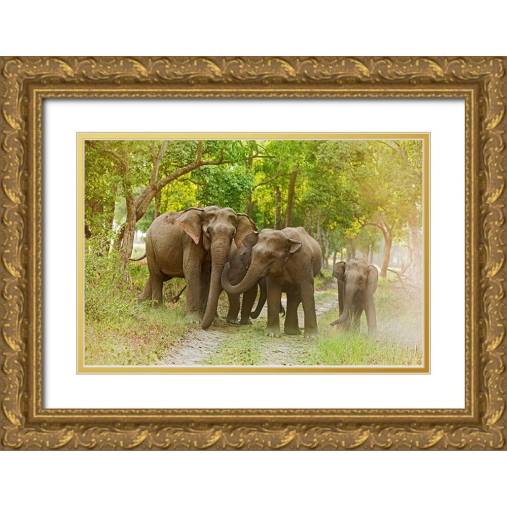 Rajput, Jagdeep 24x17 Black Ornate Wood Framed with Double Matting Museum  Art Print Titled - Asian Elephant family on the jungle track Corbett ..., image size:1000x1000