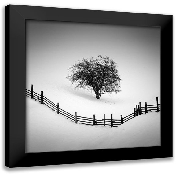 Rak 12x12 Black Modern Framed Museum Art Print Titled - Trapped