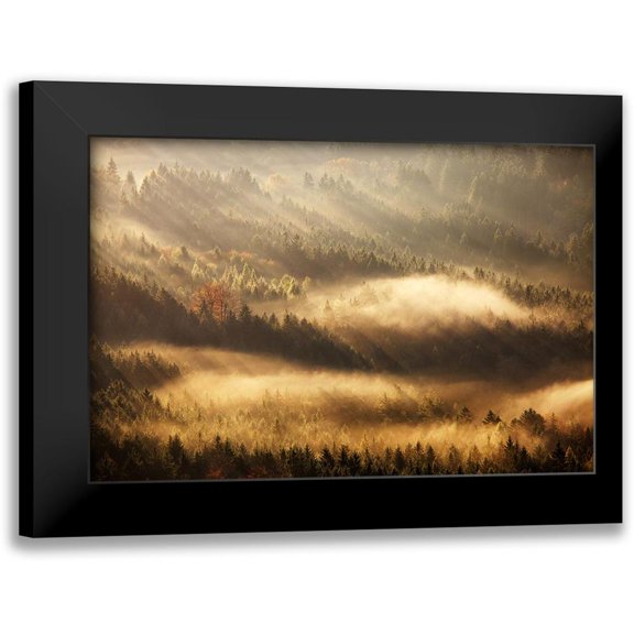 Rak, Martin 14x11 Black Modern Framed Museum Art Print Titled - Autumn Rays