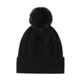 thumbnail image 1 of absanyy Women's Acrylic Cable Knit Pom Pom Beanie - Black, Free Size, Warm Cold Weather Trendy Hat, 1 of 2