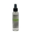 thumbnail image 1 of Ralyn Shoe Deodorizer Spray/Pump 4 oz, 1 of 2