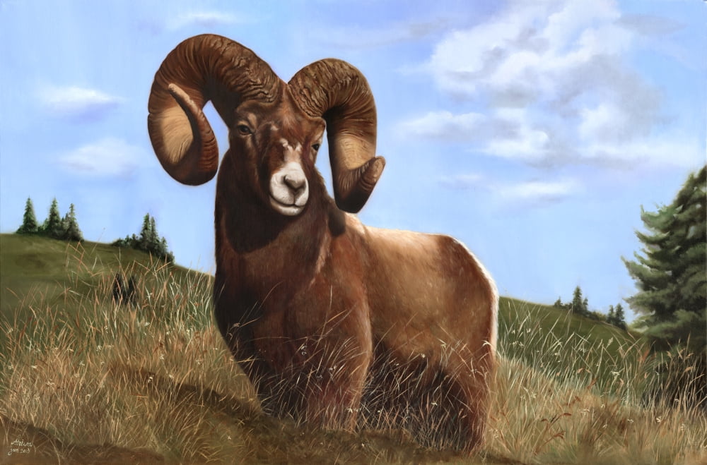 Ram Canvas Art - Shiva (24 x 36)