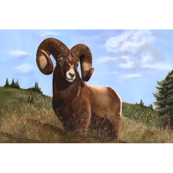 Ram Canvas Art - Shiva (24 x 36)