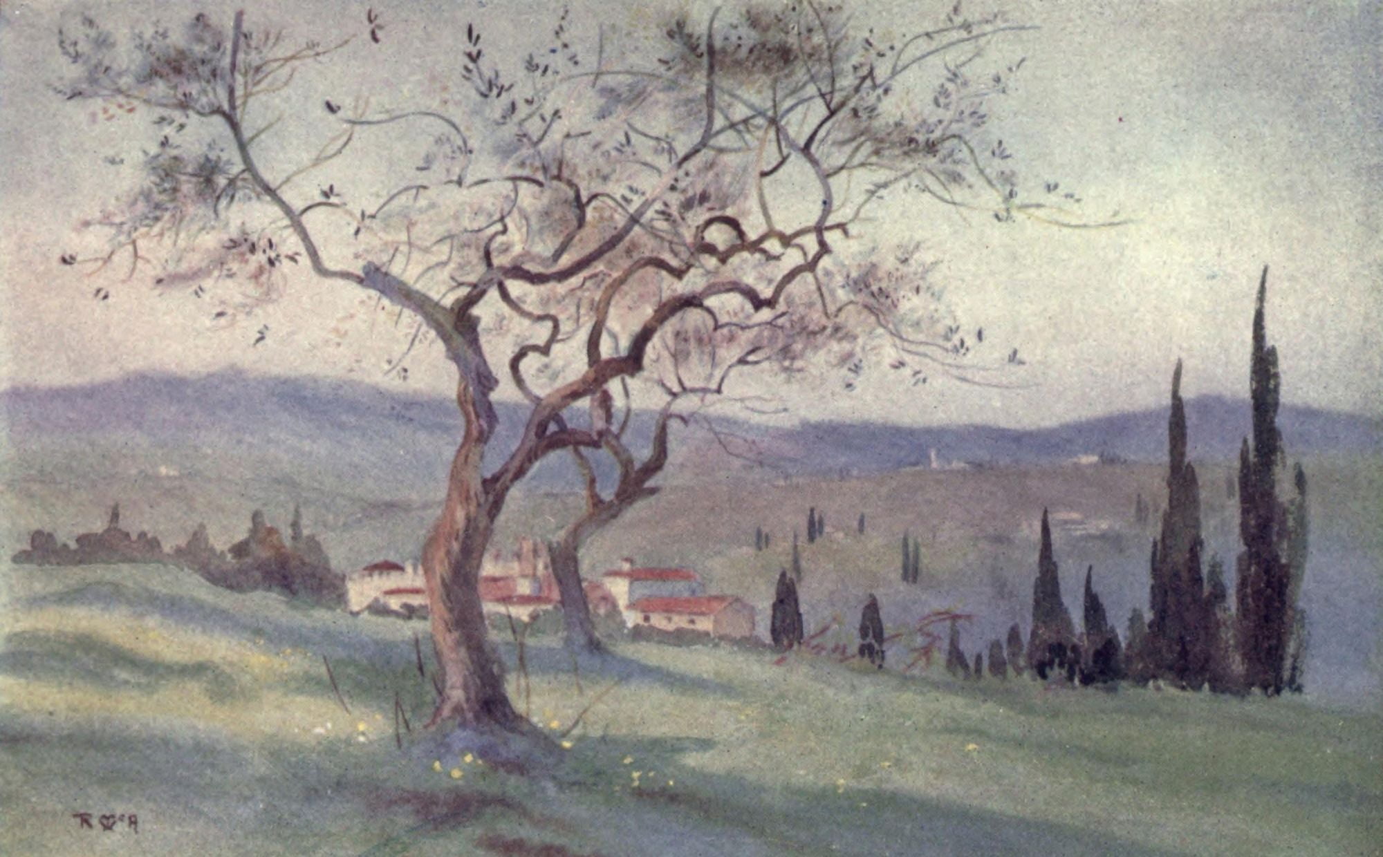 Rambles in Florence 1912 Above the Viale de Colli Canvas Art - Rose McAndrew (18 x 24)