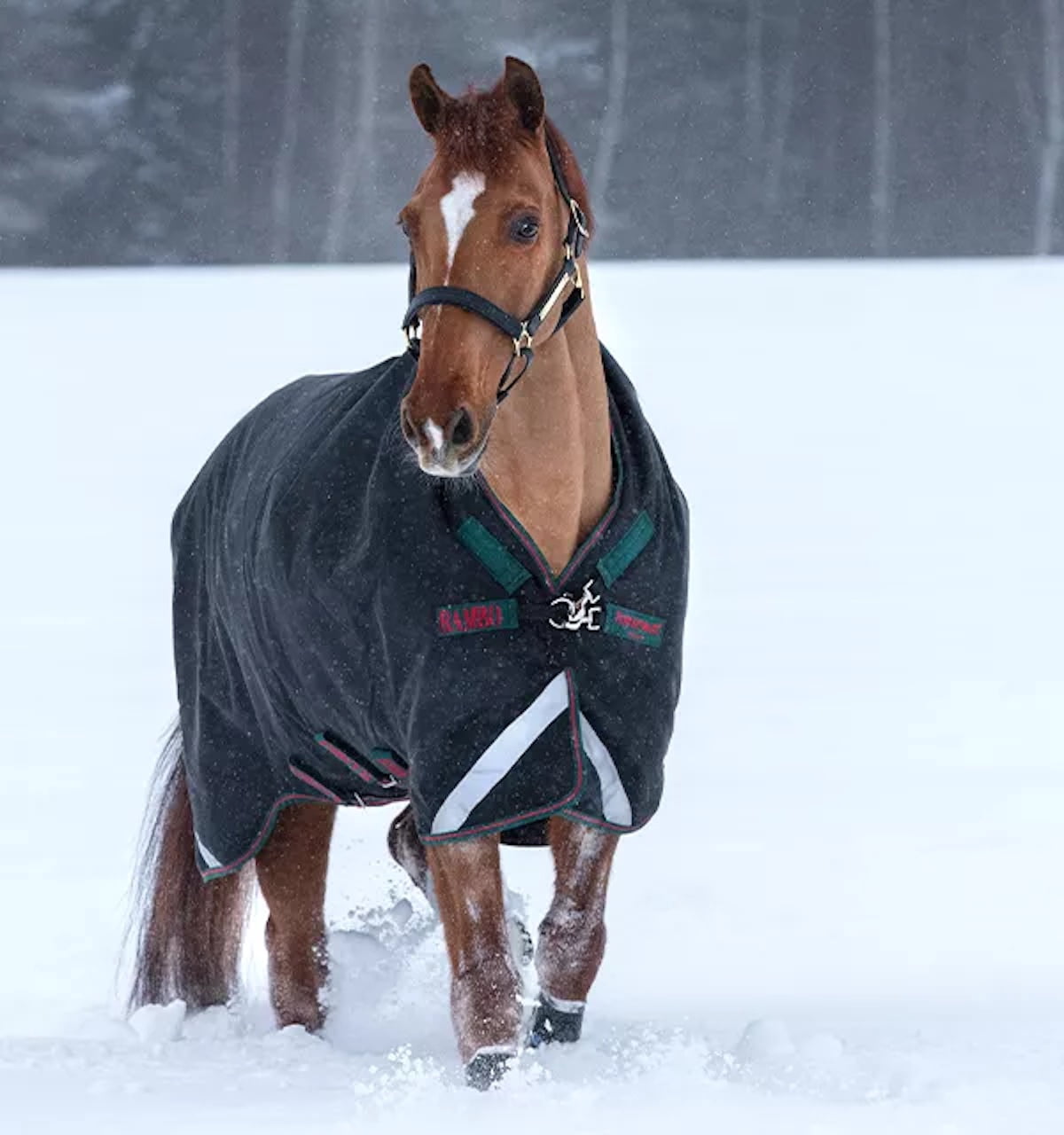 Rambo® Wug (400g Heavy) (66