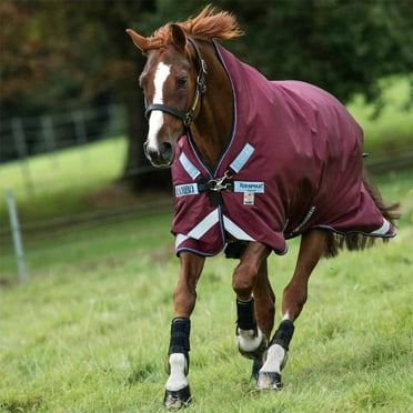 Rambo Wug Turnout Blanket (50g Medium-Lite), Burgundy (Dusty Blue/Navy Trim), Size: 72