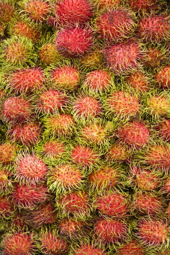Rambutan Central Market Kuala Lumpur Malaysia Canvas Art - Stuart Westmorland  Design Pics (12 x 18)