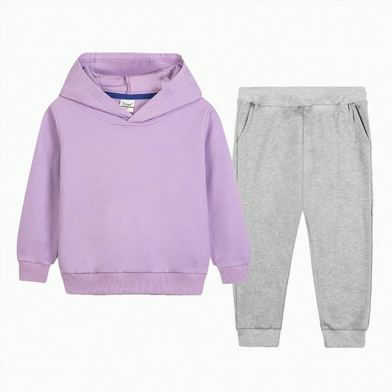 Ramiter Boys Clothes Fleece Pullover Hoodie and Pants Outfit Set Little Kid to Big Kid(Purple,3-4 Years)