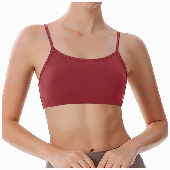 Ramiter Bras for Women Women's Underwire Shaping Bra, Comfort Front-close Bra(Wine,L)