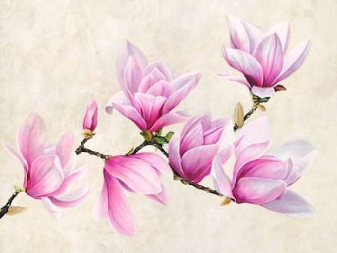Ramo di magnolia Canvas Art - Luca Villa (22 x 28)