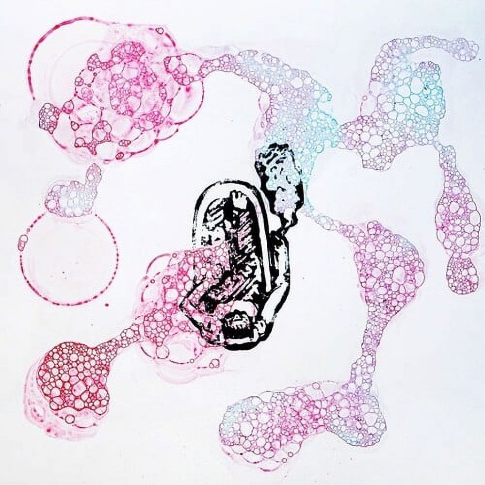 Rampue - Bubblebath Trance - Music & Performance - Vinyl