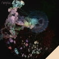thumbnail image 1 of Rampue - Tragweite - Music & Performance - Vinyl, 1 of 1