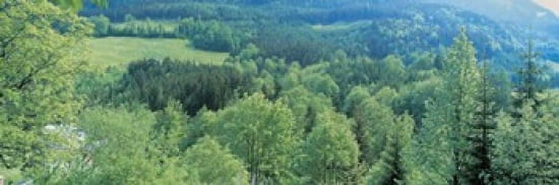 Ramsau Bavaria Germany Canvas Art - Panoramic Images (18 x 6)