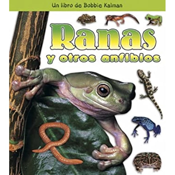 Pre-Owned Ranas Y Otros Anfibios (Frogs and Other Amphibians) (Library Binding) 0778788377 9780778788379