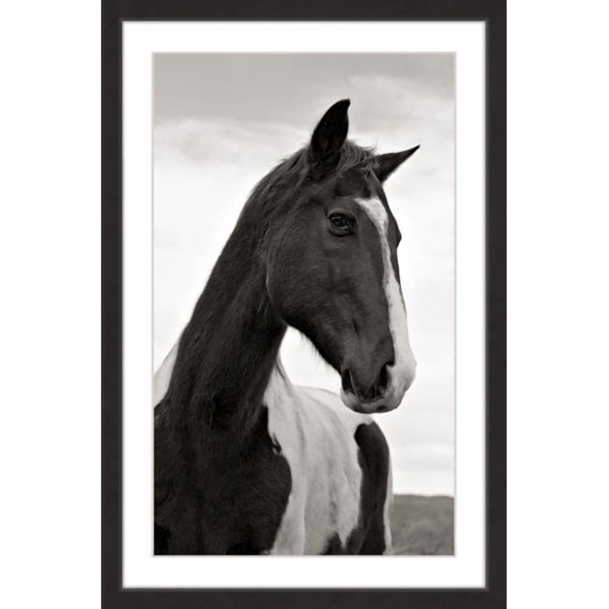 "Ranch Horse Wisdom" Framed Painting Print