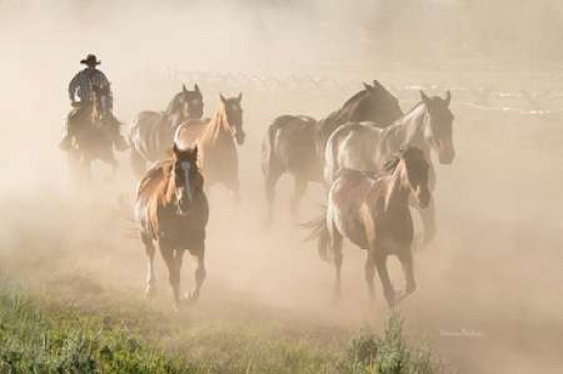 Ranch Horses Canvas Art - Ramona Murdock (24 x 36)