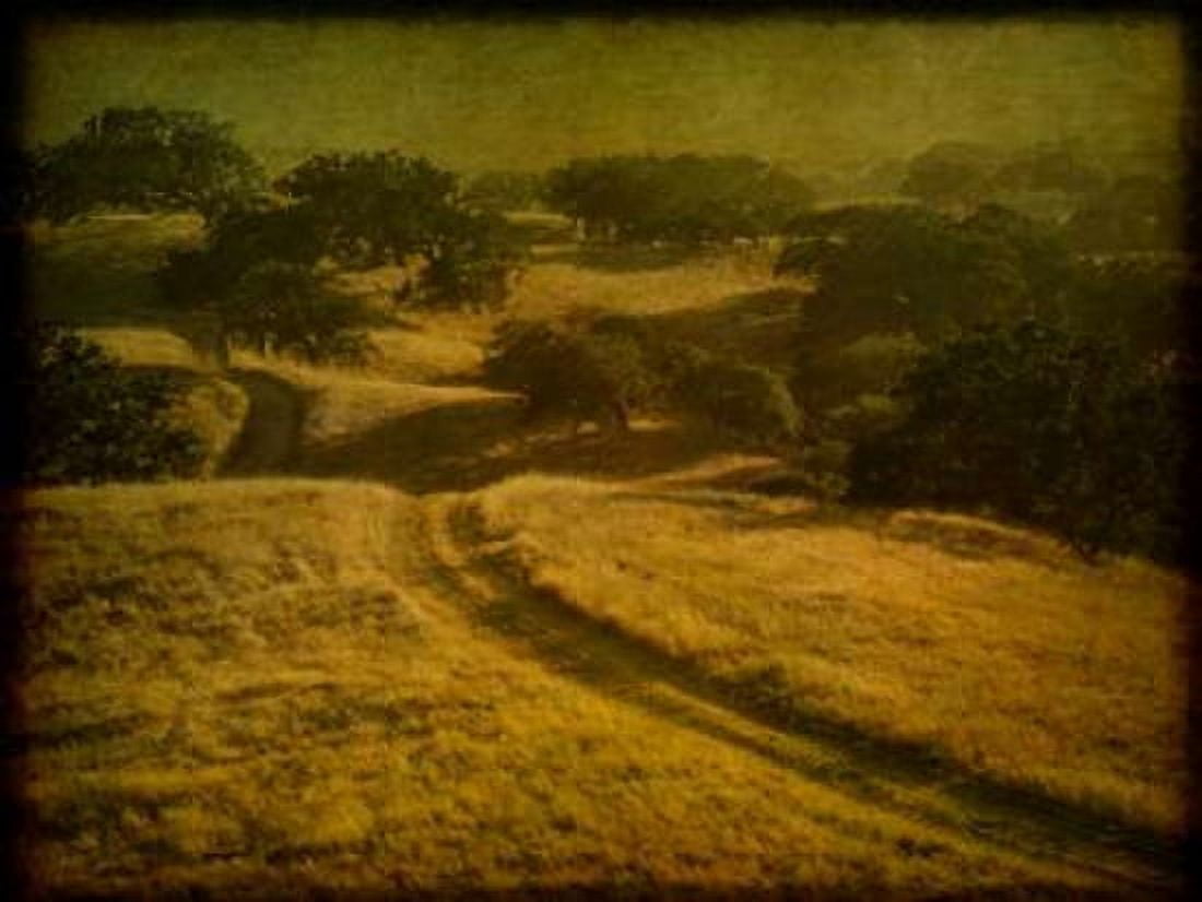 Ranch Road and Oak Savannah Canvas Art - William Guion (18 x 24)