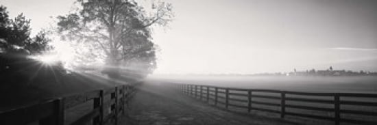 Ranch at dawn Woodford County Kentucky USA Canvas Art - Panoramic Images (36 x 12)