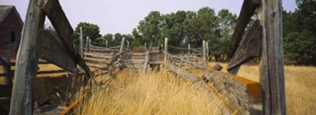 Ranch cattle chute in a field North Dakota USA Canvas Art - Panoramic Images (18 x 7)