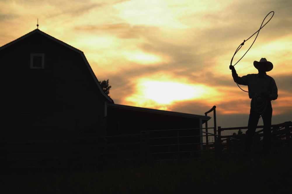 Rancher Holding A Lasso Canvas Art - Darren Greenwood Design Pics (17 x 11)