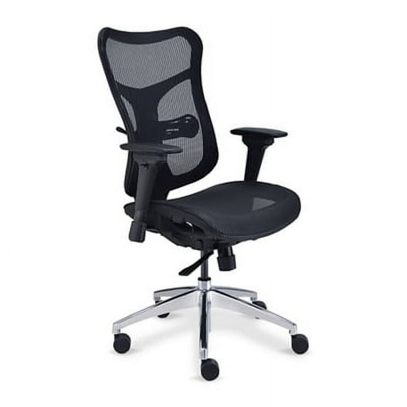 Rand Ergonomic Mesh Executive Office Chair with Black Mesh Seat, Black Mesh Back, Stylish Black Frame for Computer Desk Use