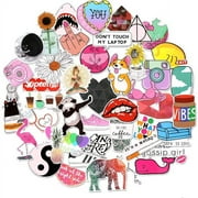 Random Stickers for Hydro Flask Water Bottle. Featured Decoration on Laptop Computer Skateboard Water Bottles Car. Waterproof Decal Stickers for Kids Women Adults. Nice Package to Be Gift! 50pc