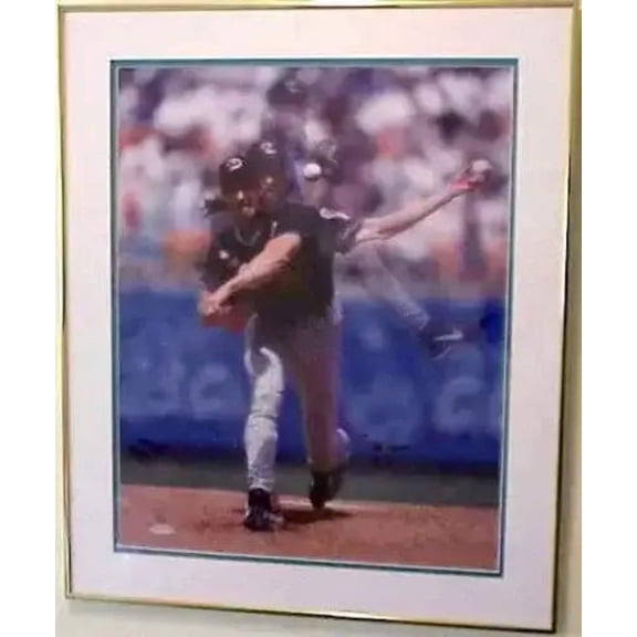 Randy Johnson autographed Arizona Diamondbacks 16x20 poster size photo framed UDA