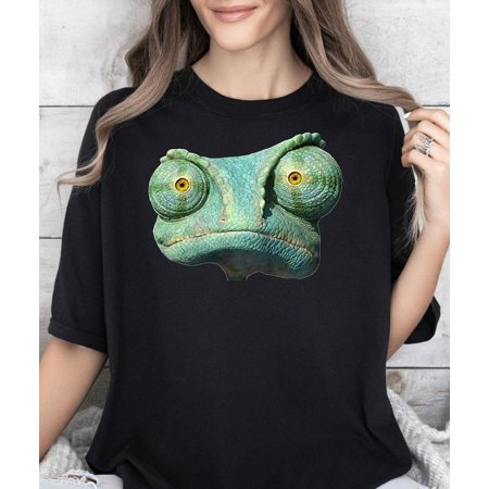 Rango###ANANDHIS ART LLC