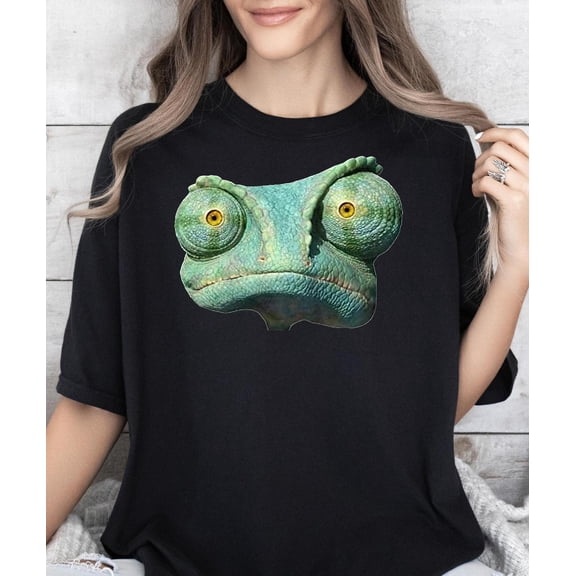 Rango###ANANDHIS ART LLC