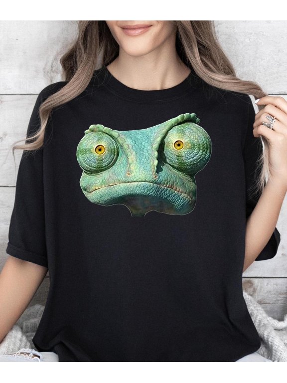 Rango###ANANDHIS ART LLC