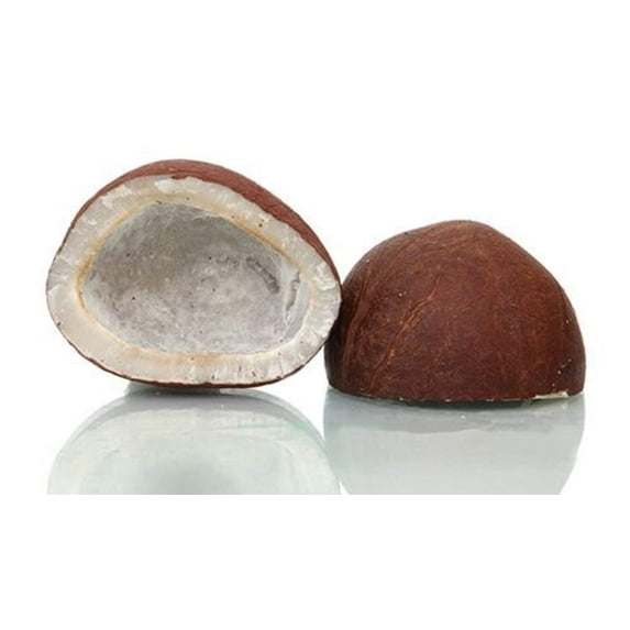 Rani Coconut (Copra) Halves, 2 Pieces, Approx. 300g ~ Raw (Uncooked, Unsweetened) ~ All Natural | Vegan | Gluten Friendly