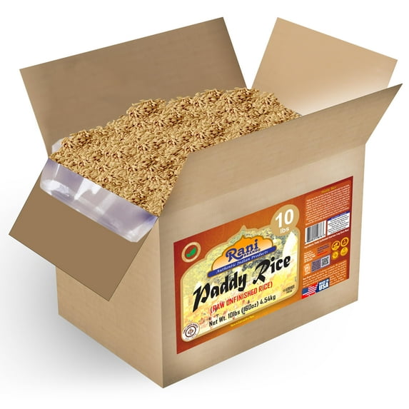 Rani Paddy Rice (Raw Unfinished Rice) 10lbs (160oz) 4.54kg Bulk Box ~ All Natural | Vegan | Gluten Friendly | NON-GMO | Kosher | Product of USA