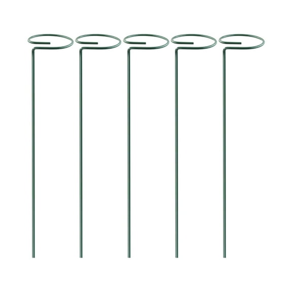 Ranliy 3/5Pcs Plant Support Stakes, Metal Single Stemmed Flower Support Hoops, Stainless Steel Garden Plant Stakes, Plant Cage Support Rings for Flowers Amaryllis Tomatoes Peony Lily Rose Narcissus
