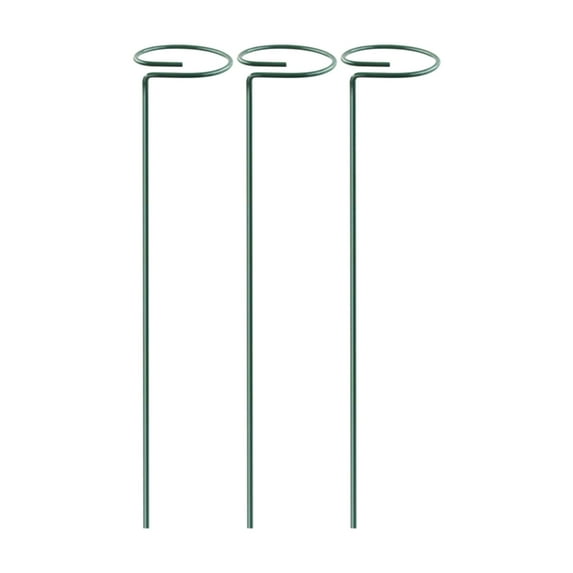 Ranliy 3/5Pcs Plant Support Stakes, Metal Single Stemmed Flower Support Hoops, Stainless Steel Garden Plant Stakes, Plant Cage Support Rings for Flowers Amaryllis Tomatoes Peony Lily Rose Narcissus