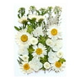thumbnail image 1 of Ranliy 40 Pcs Dried Pressed Flowers for Resin, Real Pressed Flowers Dry Leaves Bulk Natural Herbs Kit for Diy Making Crafts Resin Soap Candle Scrapbook Supplies Card Making Jewelry, 1 of 1