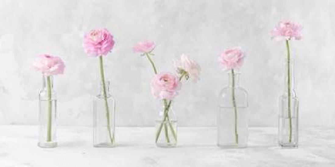 Ranuncuclus flowers in glass bottles Canvas Art - Assaf Frank (24 x 48)