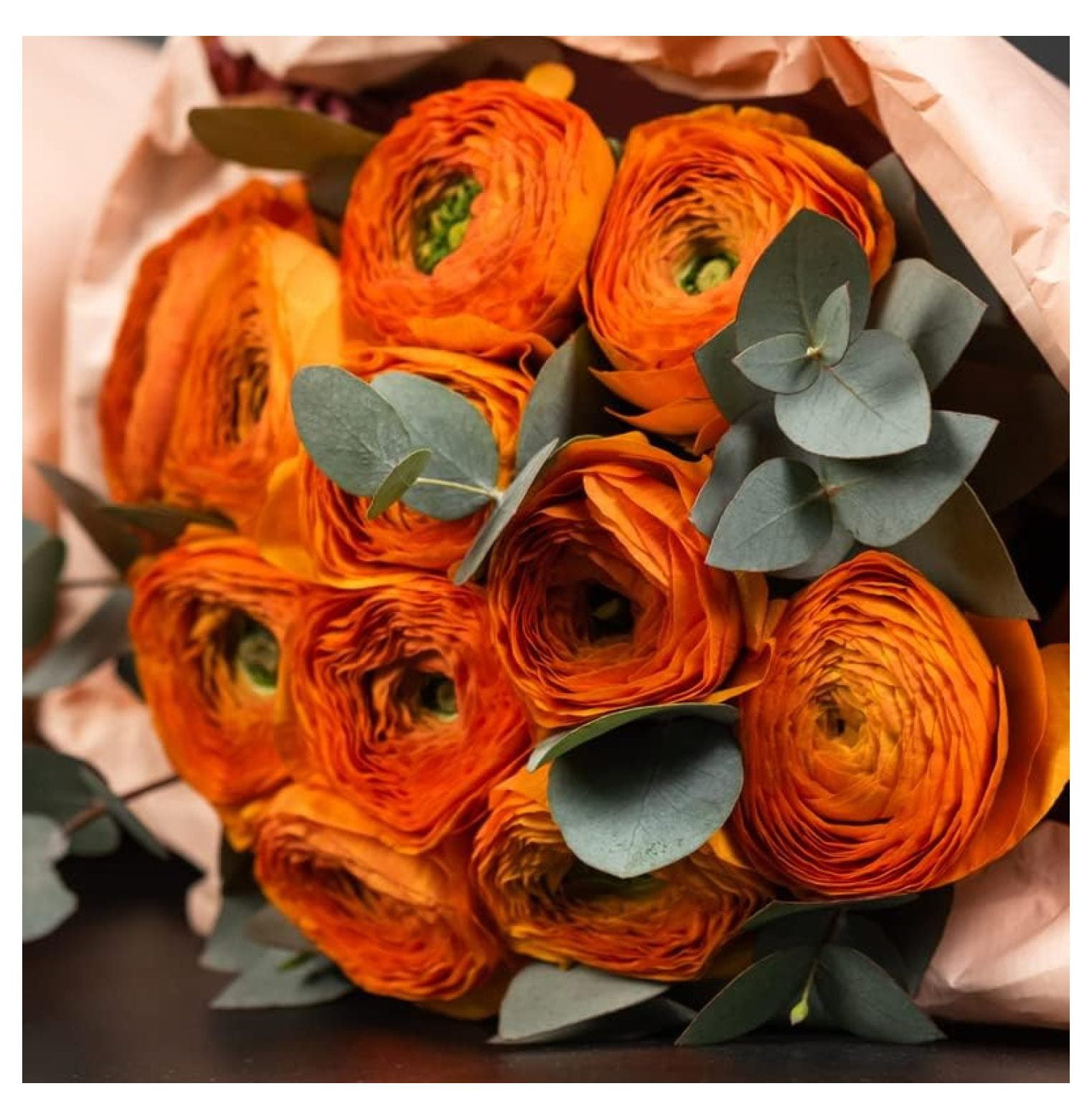 Ranunculus Bulbs for Planting, 25 Orange Ranunculus Bulbs for Fall